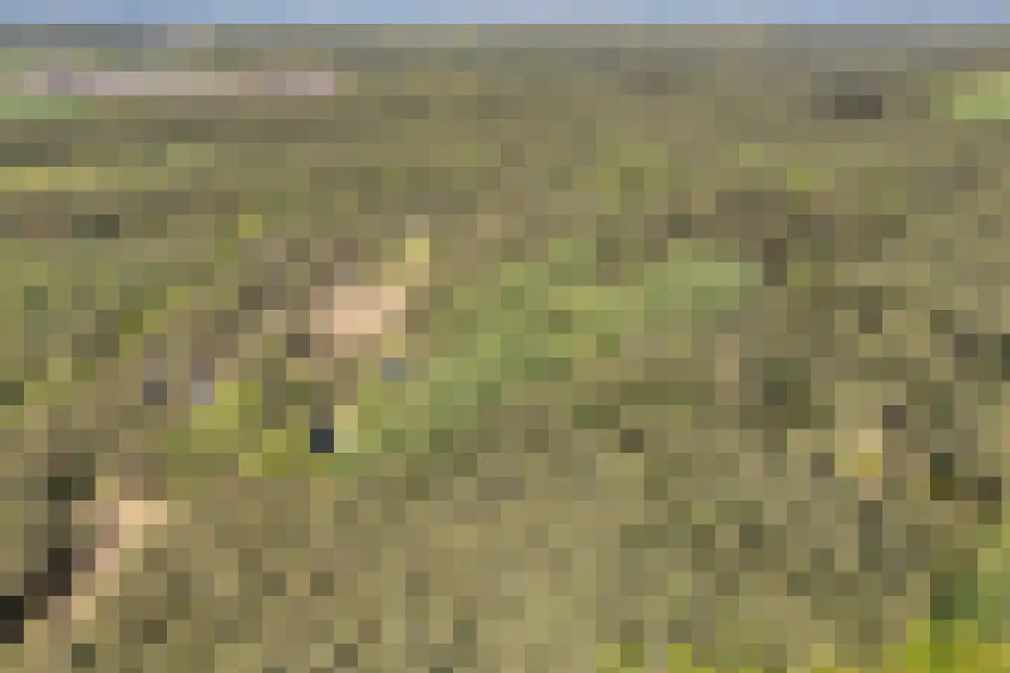 Hogeveldsweg 26 250 Giethmen thumbnail 5