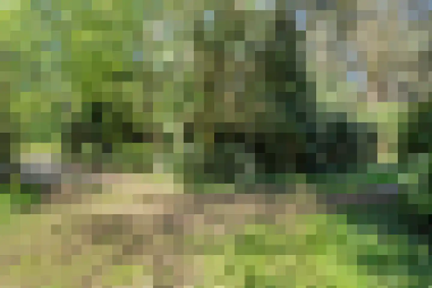 Hogeveldsweg 26 250 Giethmen thumbnail 6