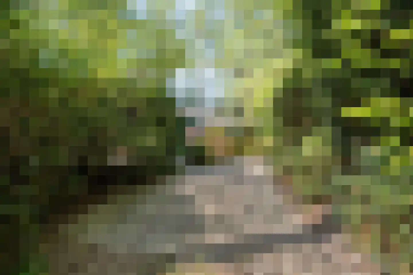 Hogeveldsweg 26 250 Giethmen thumbnail 7