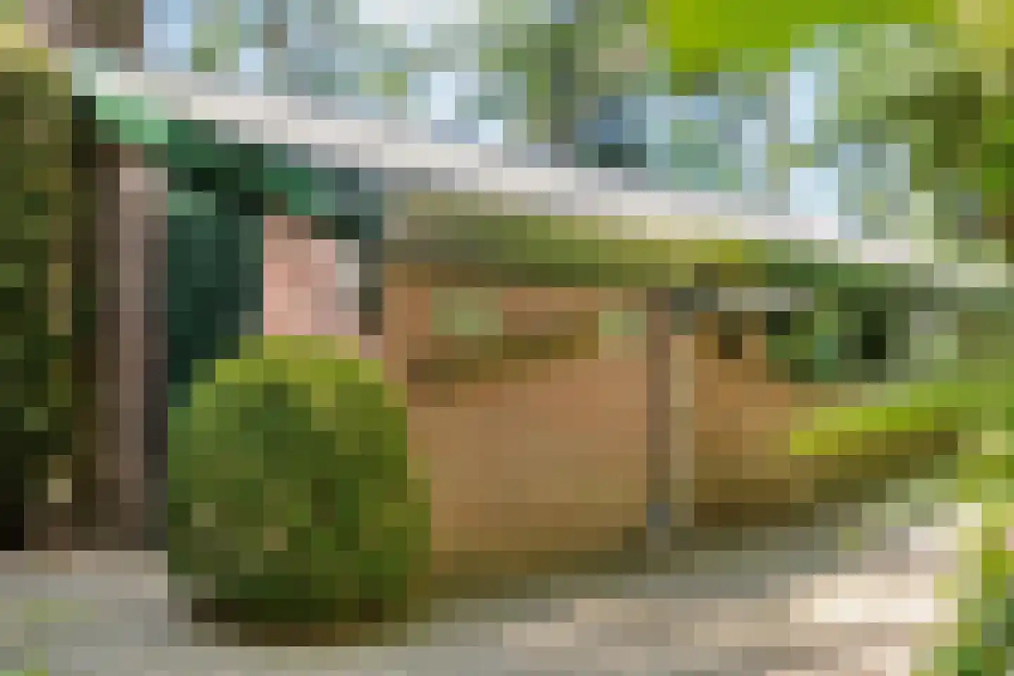 Hogeveldsweg 26 250 Giethmen thumbnail 8