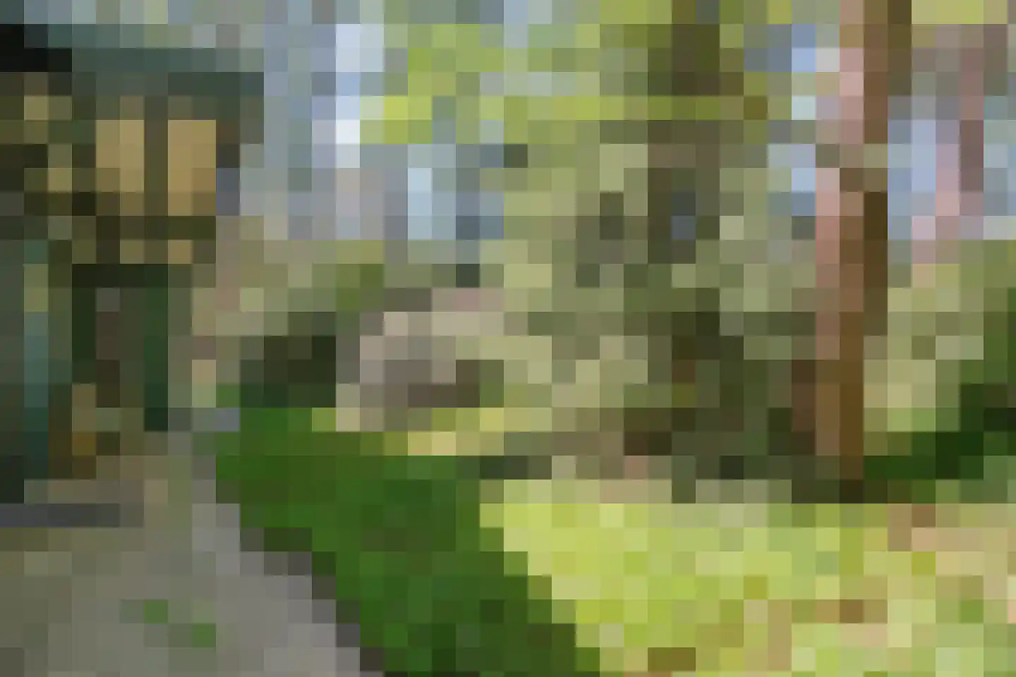 Hogeveldsweg 26 250 Giethmen thumbnail 9