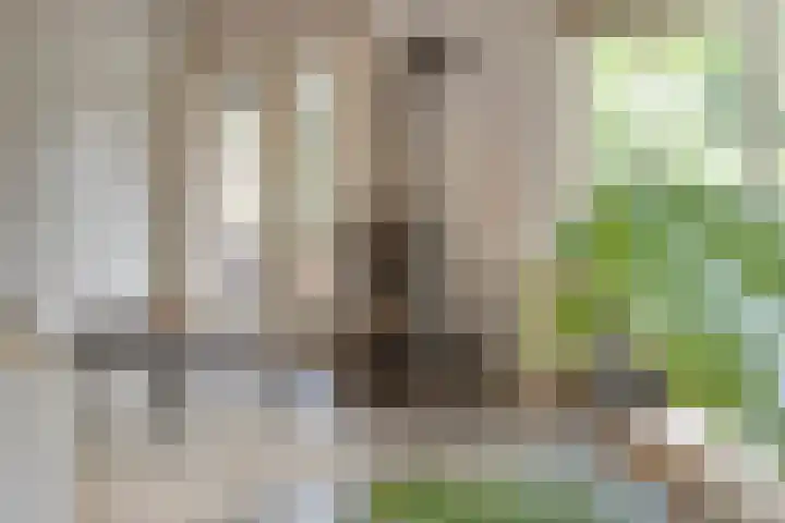 Hogeveldsweg 26 251 Giethmen thumbnail 12