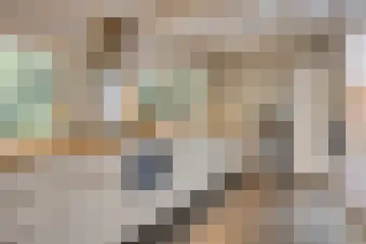 Hogeveldsweg 26 251 Giethmen thumbnail 16