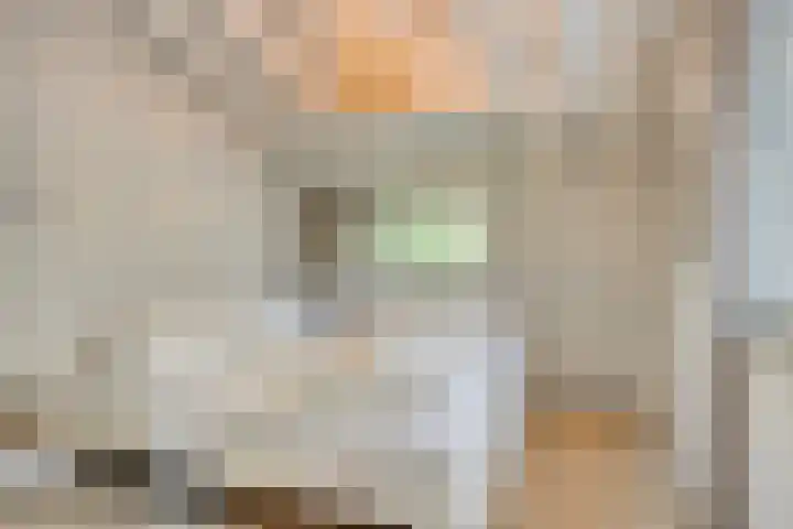 Hogeveldsweg 26 251 Giethmen thumbnail 18