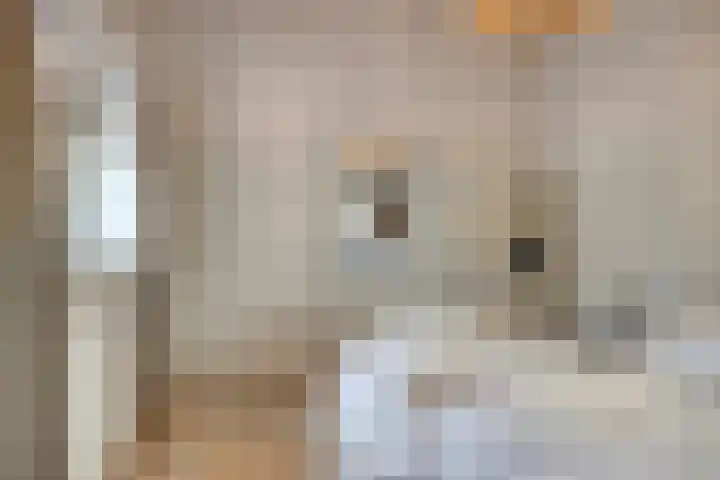 Hogeveldsweg 26 251 Giethmen thumbnail 19
