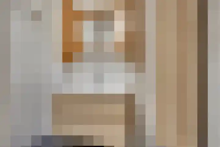 Hogeveldsweg 26 251 Giethmen thumbnail 23