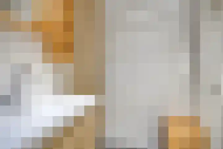 Hogeveldsweg 26 251 Giethmen thumbnail 24