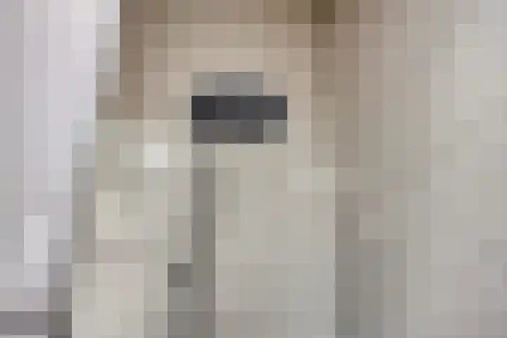 Hogeveldsweg 26 251 Giethmen thumbnail 25