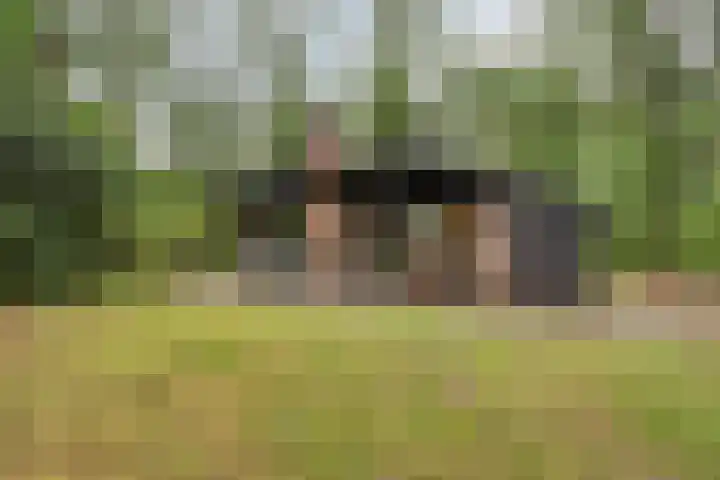Hogeveldsweg 26 251 Giethmen thumbnail 27