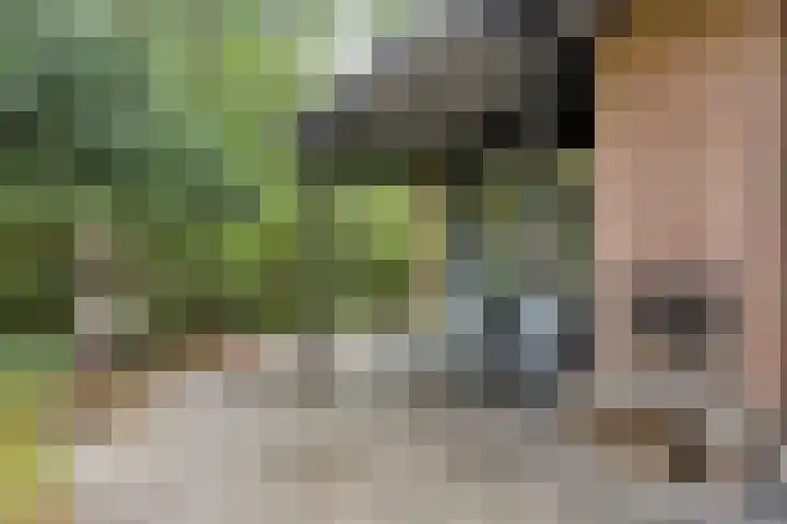 Hogeveldsweg 26 251 Giethmen thumbnail 29