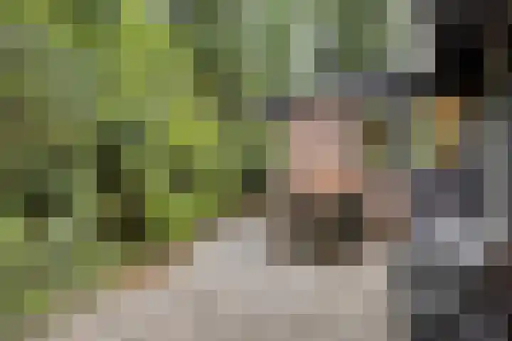 Hogeveldsweg 26 251 Giethmen thumbnail 30
