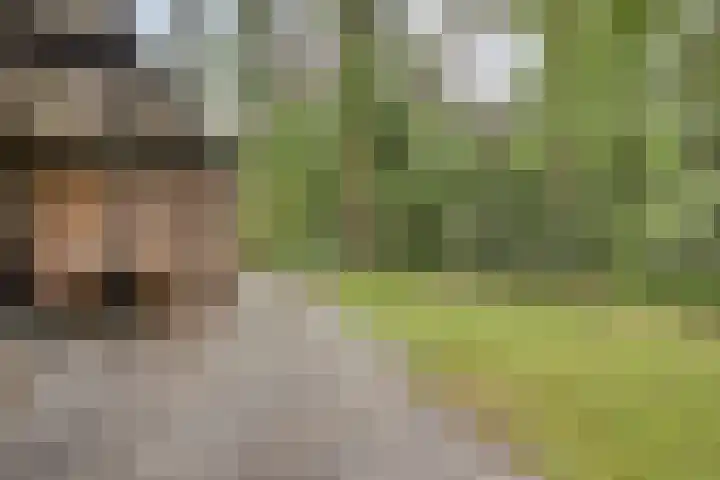 Hogeveldsweg 26 251 Giethmen thumbnail 31