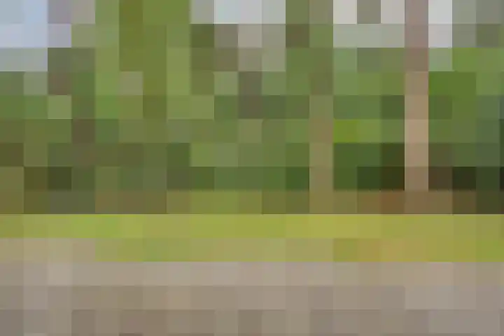 Hogeveldsweg 26 251 Giethmen thumbnail 32