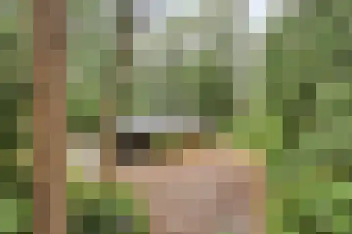 Hogeveldsweg 26 251 Giethmen thumbnail 4