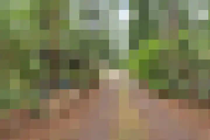 Hogeveldsweg 26 251 Giethmen thumbnail 6
