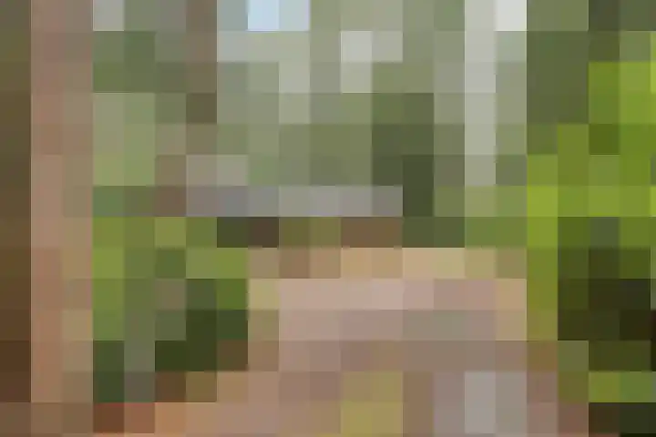 Hogeveldsweg 26 251 Giethmen thumbnail 7