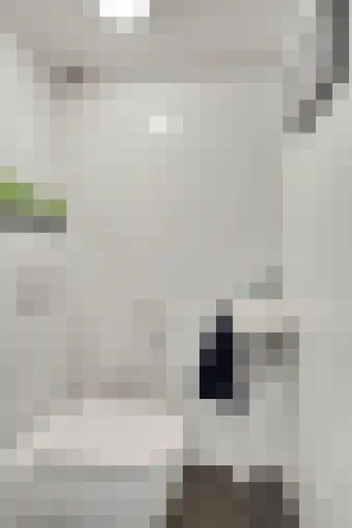 Hogeveldsweg 26 251 Giethmen thumbnail 9