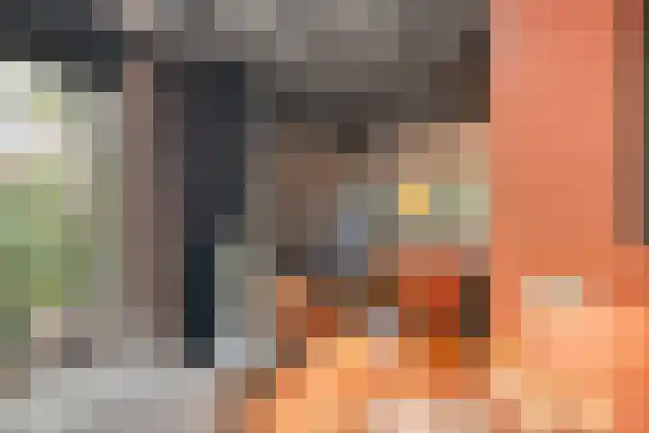 Hogeveldsweg 26 254 Giethmen thumbnail 13