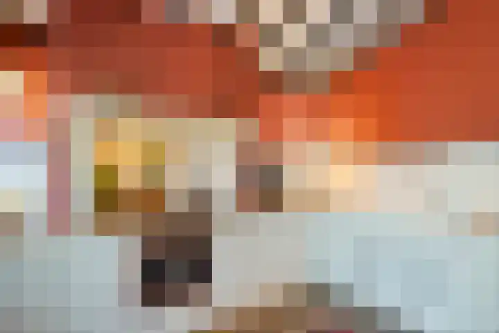 Hogeveldsweg 26 254 Giethmen thumbnail 19