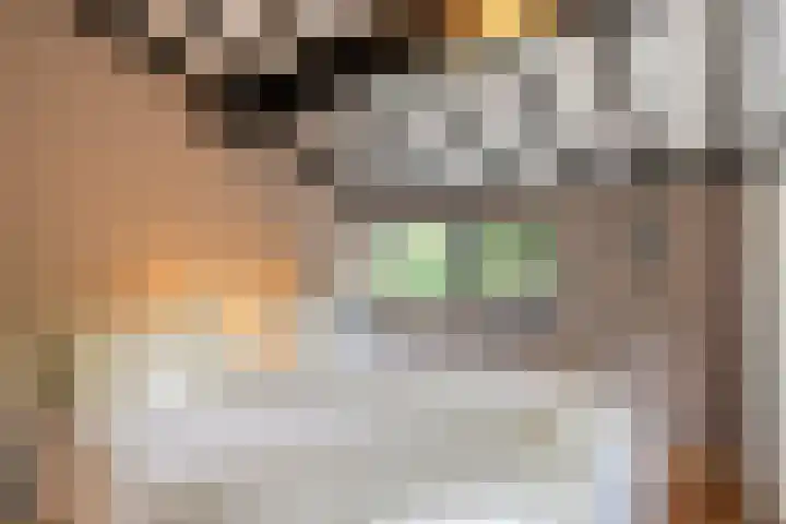 Hogeveldsweg 26 254 Giethmen thumbnail 21