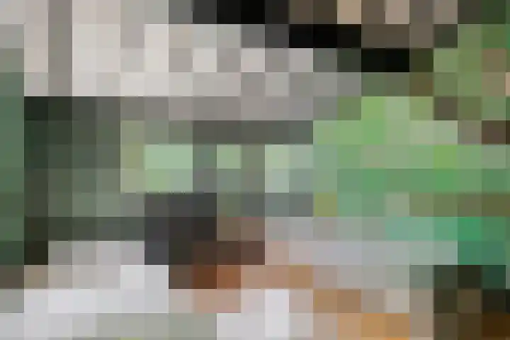 Hogeveldsweg 26 254 Giethmen thumbnail 24