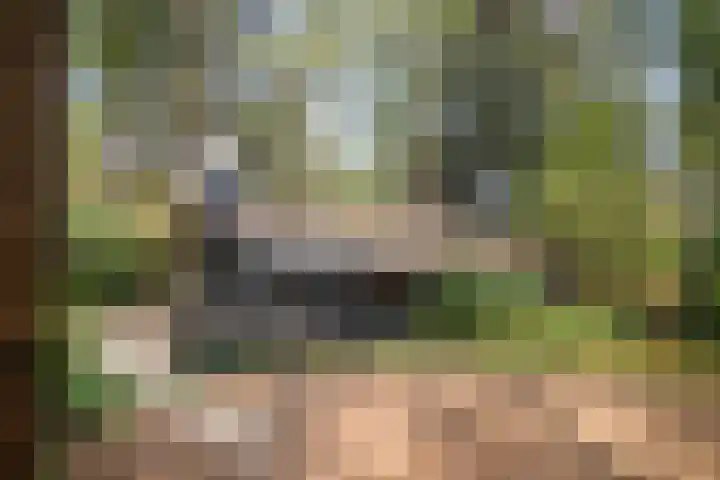 Hogeveldsweg 26 254 Giethmen thumbnail 28