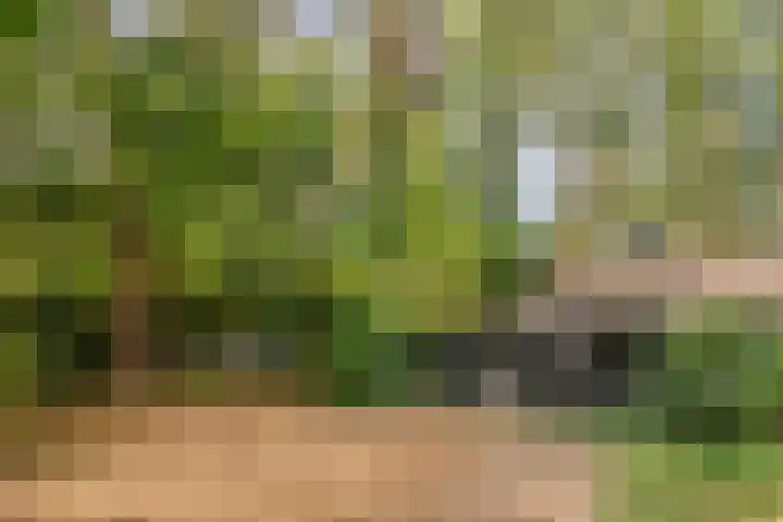 Hogeveldsweg 26 254 Giethmen thumbnail 30