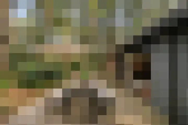 Hogeveldsweg 26 254 Giethmen thumbnail 31