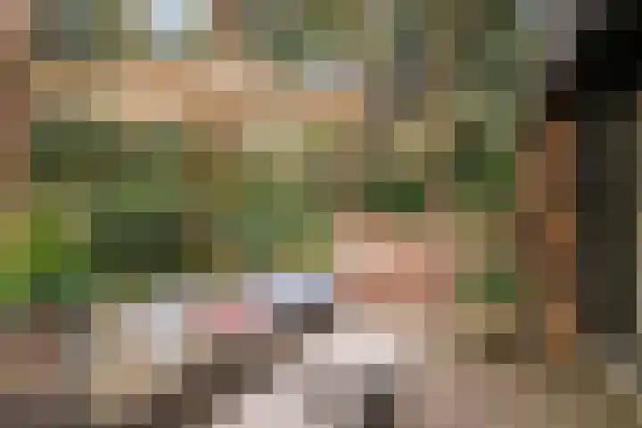 Hogeveldsweg 26 254 Giethmen thumbnail 32