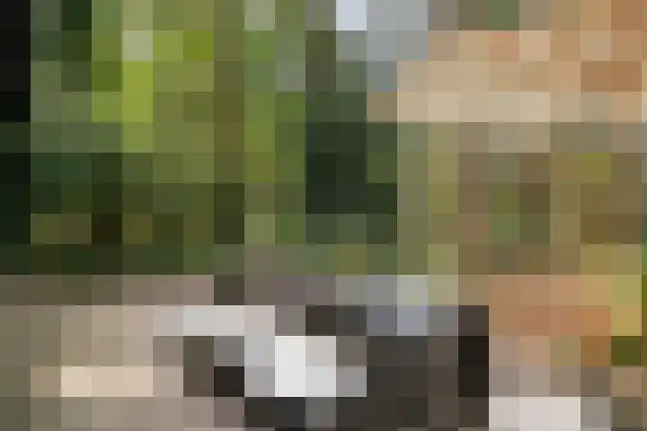Hogeveldsweg 26 254 Giethmen thumbnail 33