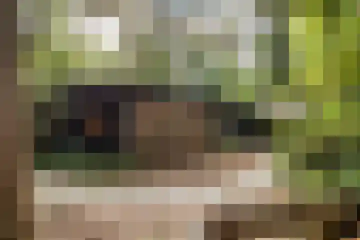 Hogeveldsweg 26 254 Giethmen thumbnail 34