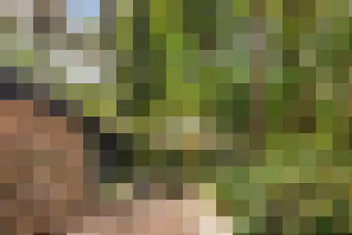 Hogeveldsweg 26 254 Giethmen thumbnail 35