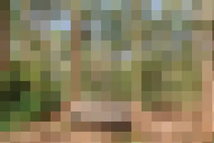Hogeveldsweg 26 254 Giethmen thumbnail 36