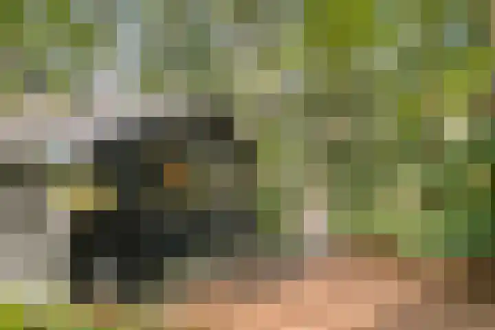Hogeveldsweg 26 254 Giethmen thumbnail 37