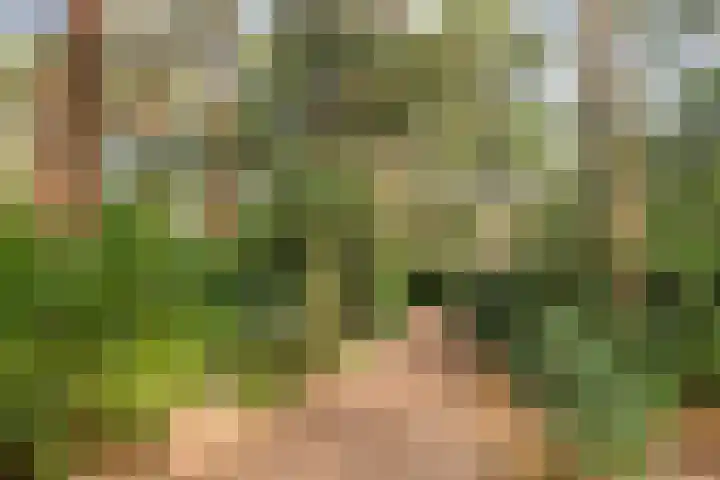 Hogeveldsweg 26 254 Giethmen thumbnail 38