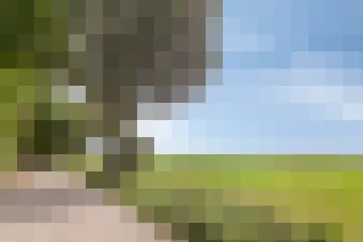 Hogeveldsweg 26 254 Giethmen thumbnail 40