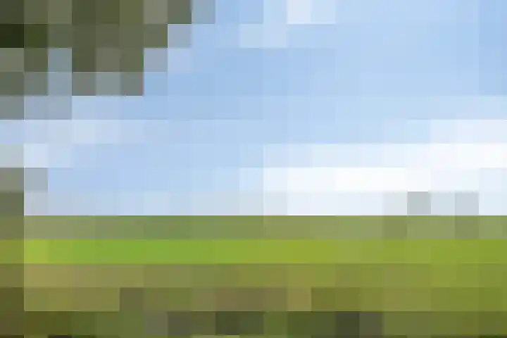 Hogeveldsweg 26 254 Giethmen thumbnail 41