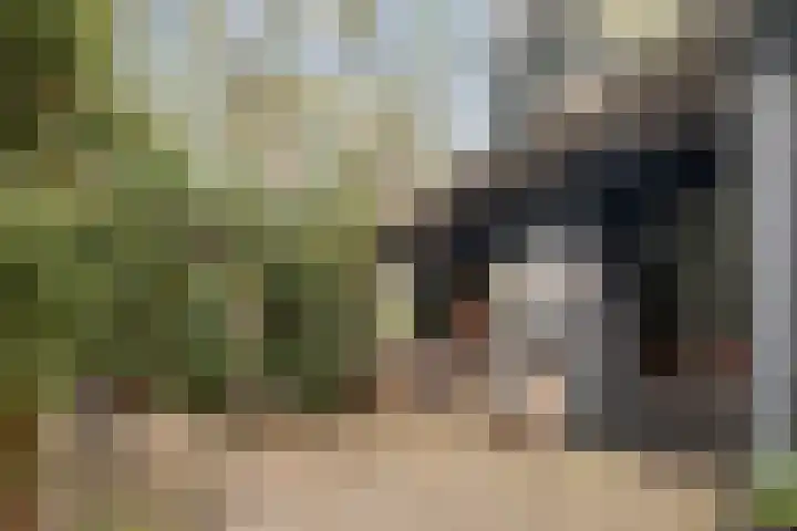 Hogeveldsweg 26 254 Giethmen thumbnail 7