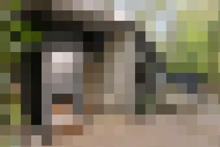 Hogeveldsweg 26 254 Giethmen thumbnail 8