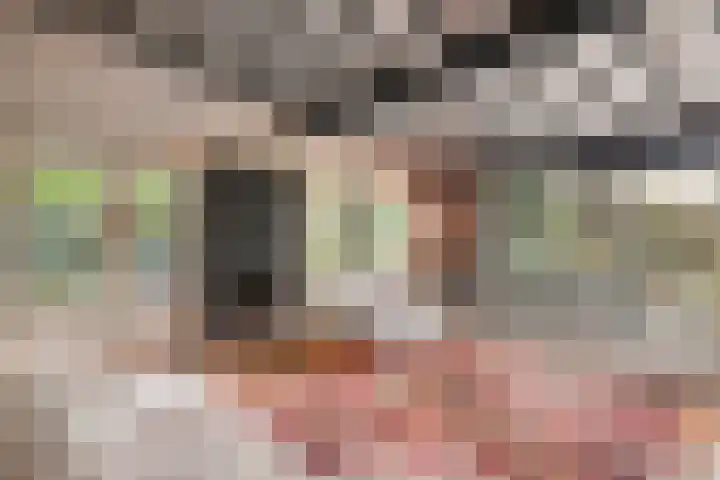 Hogeveldsweg 26 254 Giethmen thumbnail 9