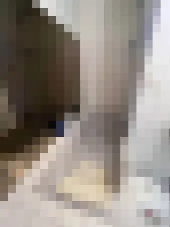 Hogeveldsweg 26 301 Giethmen thumbnail 22