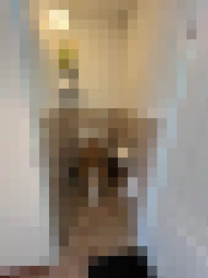 Hogeveldsweg 26 301 Giethmen thumbnail 23