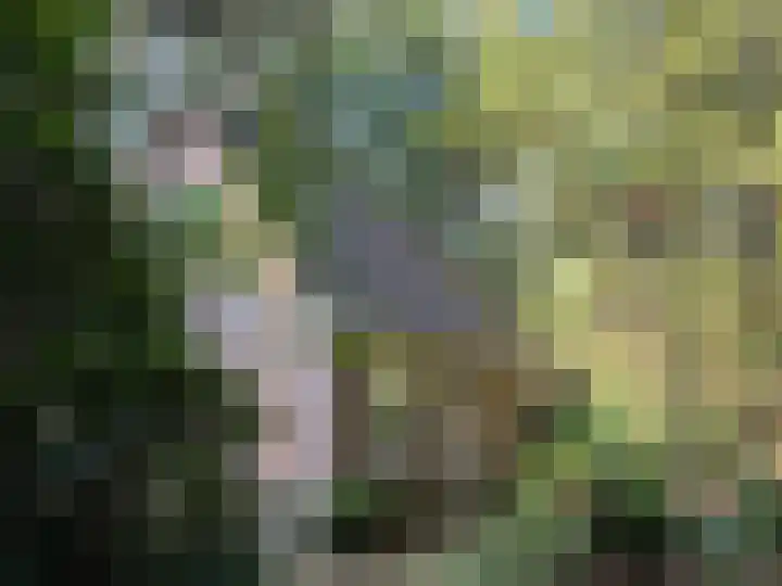 Hogeveldsweg 26 301 Giethmen thumbnail 4