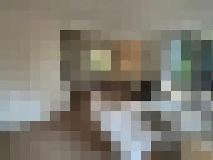 Hogeveldsweg 26 301 Giethmen thumbnail 8