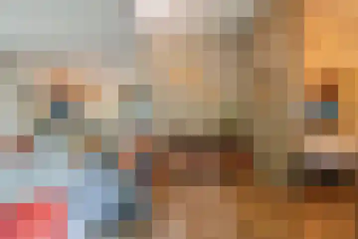 Hogeveldsweg 26 322 Giethmen thumbnail 17