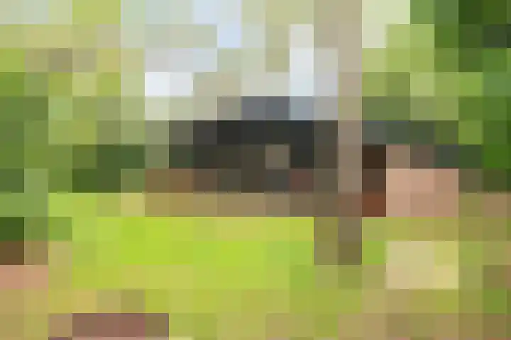 Hogeveldsweg 26 322 Giethmen thumbnail 22