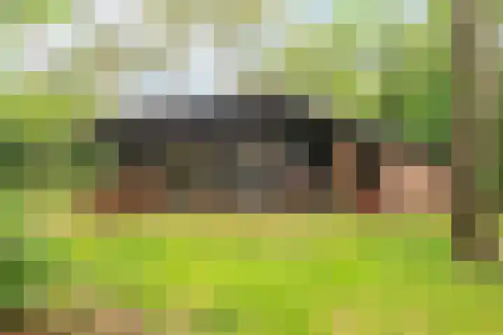 Hogeveldsweg 26 322 Giethmen thumbnail 23