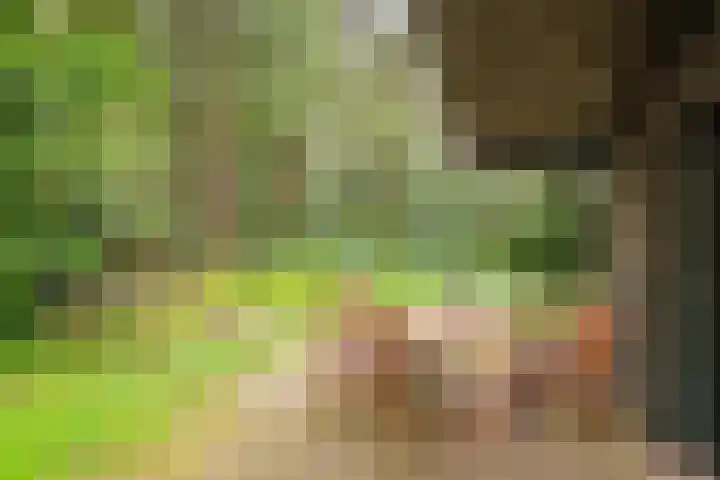 Hogeveldsweg 26 322 Giethmen thumbnail 24