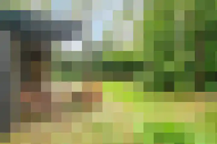 Hogeveldsweg 26 322 Giethmen thumbnail 25