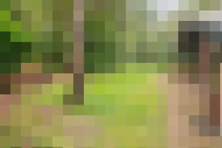 Hogeveldsweg 26 322 Giethmen thumbnail 26